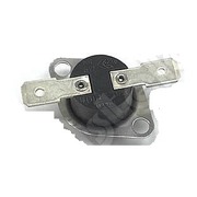TRL100CY Термостат защитный 80°C для сушильной машины / can41037151  {}