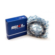 BRG117UN Подшипник SKL 6206 2RS {}