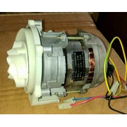 018163 #Распродажа! ELECTROPUMP 220V-50HZ {1}